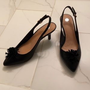 dressbarn, Black Bella Heel, Size 9